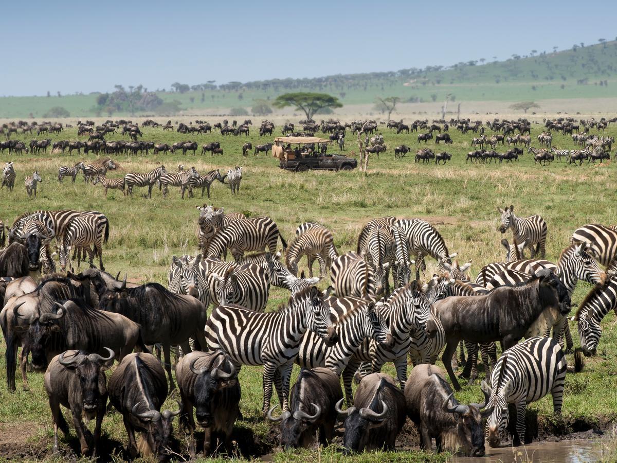One Nature Nyaruswiga Serengeti Banagi Exterior photo